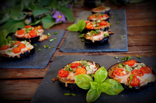 ΠΙΤΣΑΚΙΑ ΜΕΛΙΤΖΑΝΑΣ